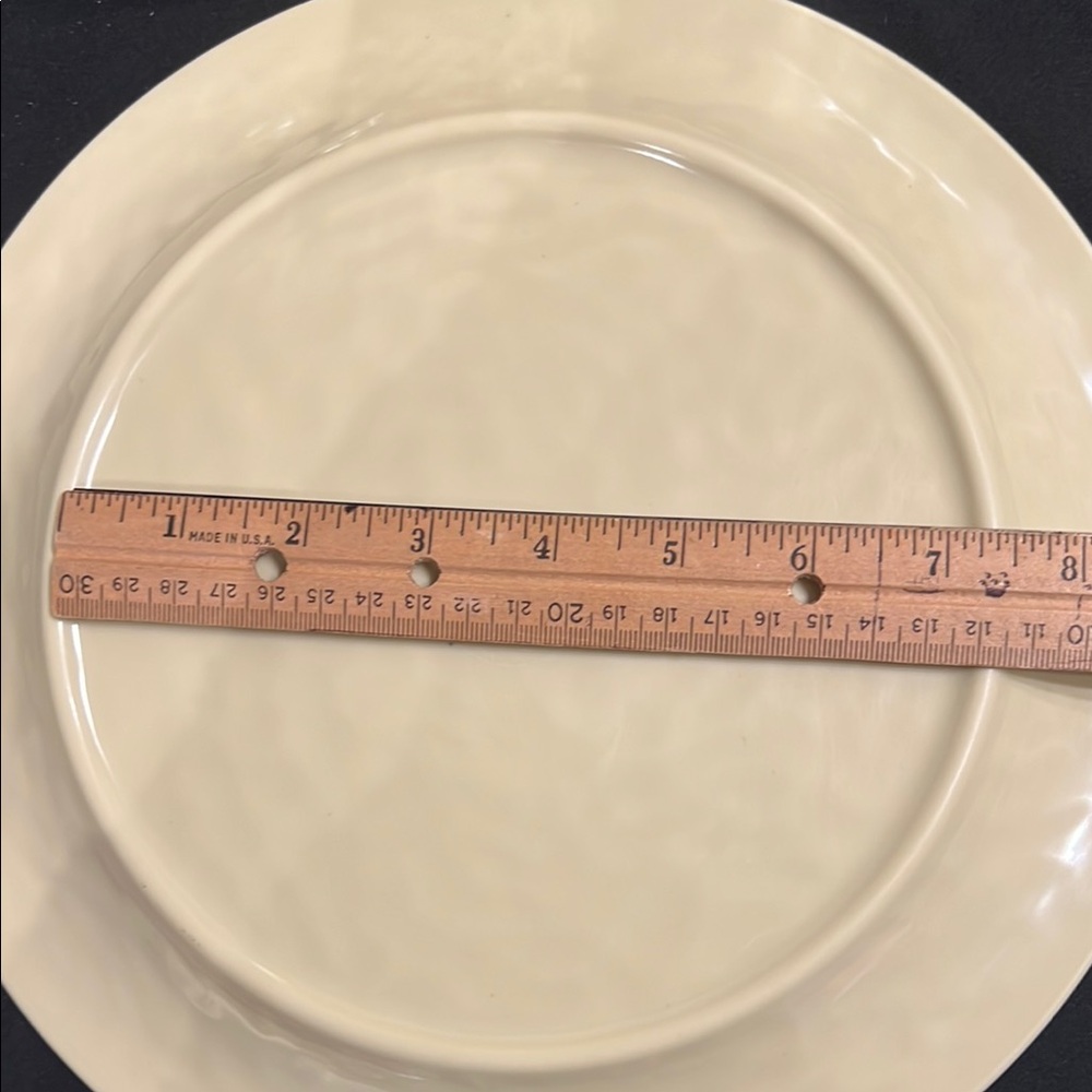 Pier 1 SPEEDY AND FRIENDS Melamine 11" Dinner Plates x 4Turtle Octopus Ray Ocean - Picture 7 of 11